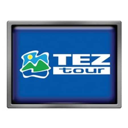 Simba 1.5 x 1 in. Rectangle Vibraprint Lapel Pin EXPRESS-SP64